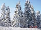 A winter wonderland
